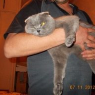 Андрей Мотора