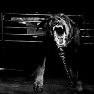 Денис Самусь