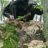 Сергій Струхманчук