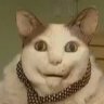 Heilcat