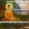 Budda8