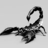 Scorpion1966