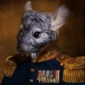 Chinchilla