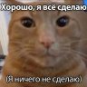 Максим (Mirage)