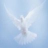 HolySpirit
