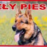 Zly Pies