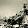 IL-2