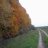 follow1