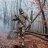 Legionary767