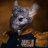 Chinchilla