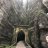 Bogush_60