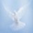 HolySpirit
