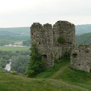 Image (5)