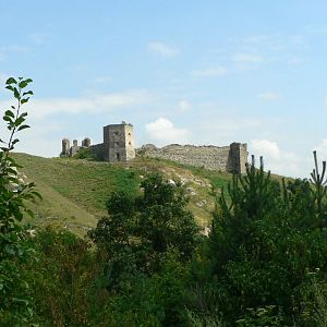 Image (6)