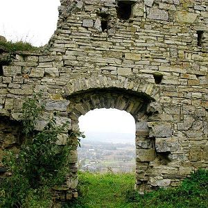 Image (8)