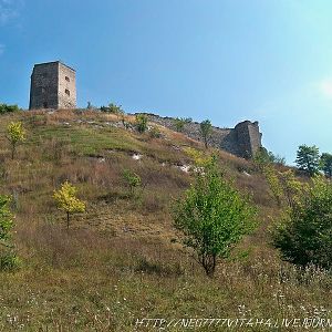 Image (20)