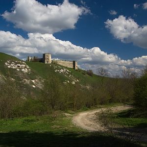 Image (21)