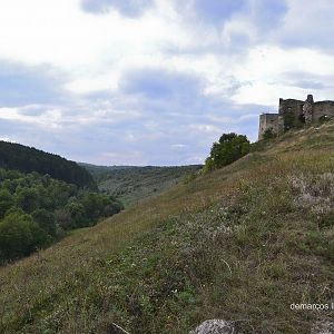Image (23)