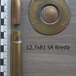 Lot#496