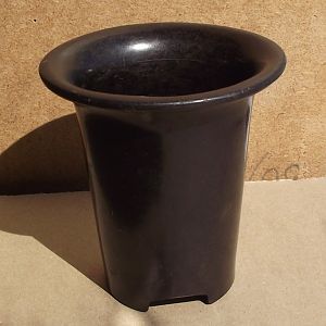 DSCF6209