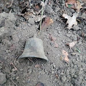 IMG_20181102_113238