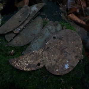 IMG_20181116_083547