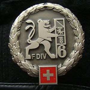 6 Felddivision