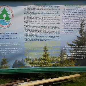 P8181121