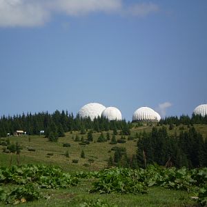 P8181132