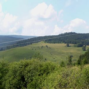 P8181149-53