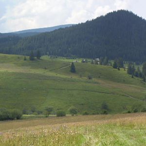 P8181157-62