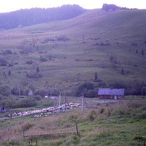 P8181182-5