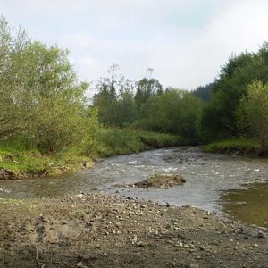 P8191189-92