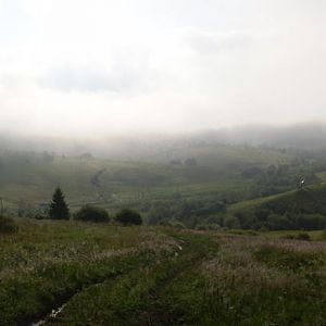 P8191193-5