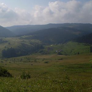 P8191203-7