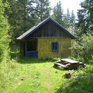 P8191218