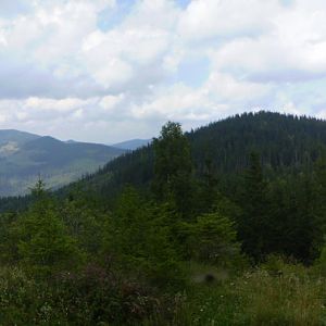 P8191223-5