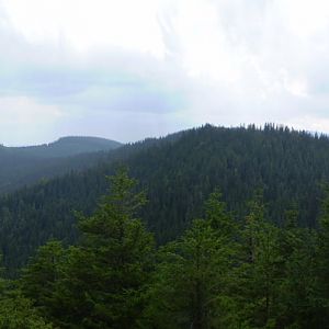 P8191227-9