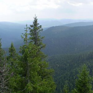 P8191237-9