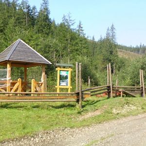 P8211326-7