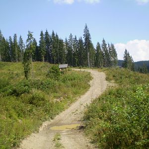 P8211332