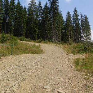 P8211333-5