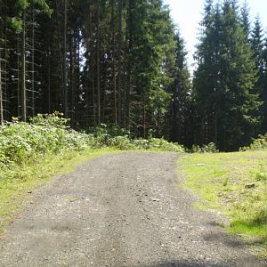 P8211341-2
