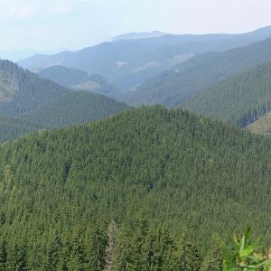P8211344-5