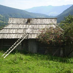 P8140785