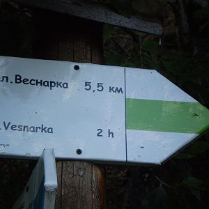 P8140798