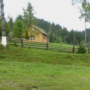 P8160838-41