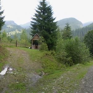 P8160866-7