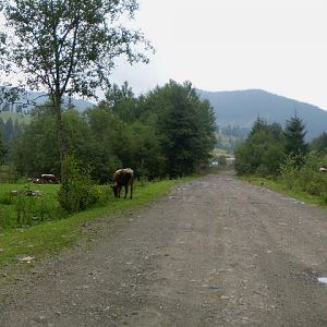 P8160875-6