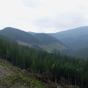 P8160896-7